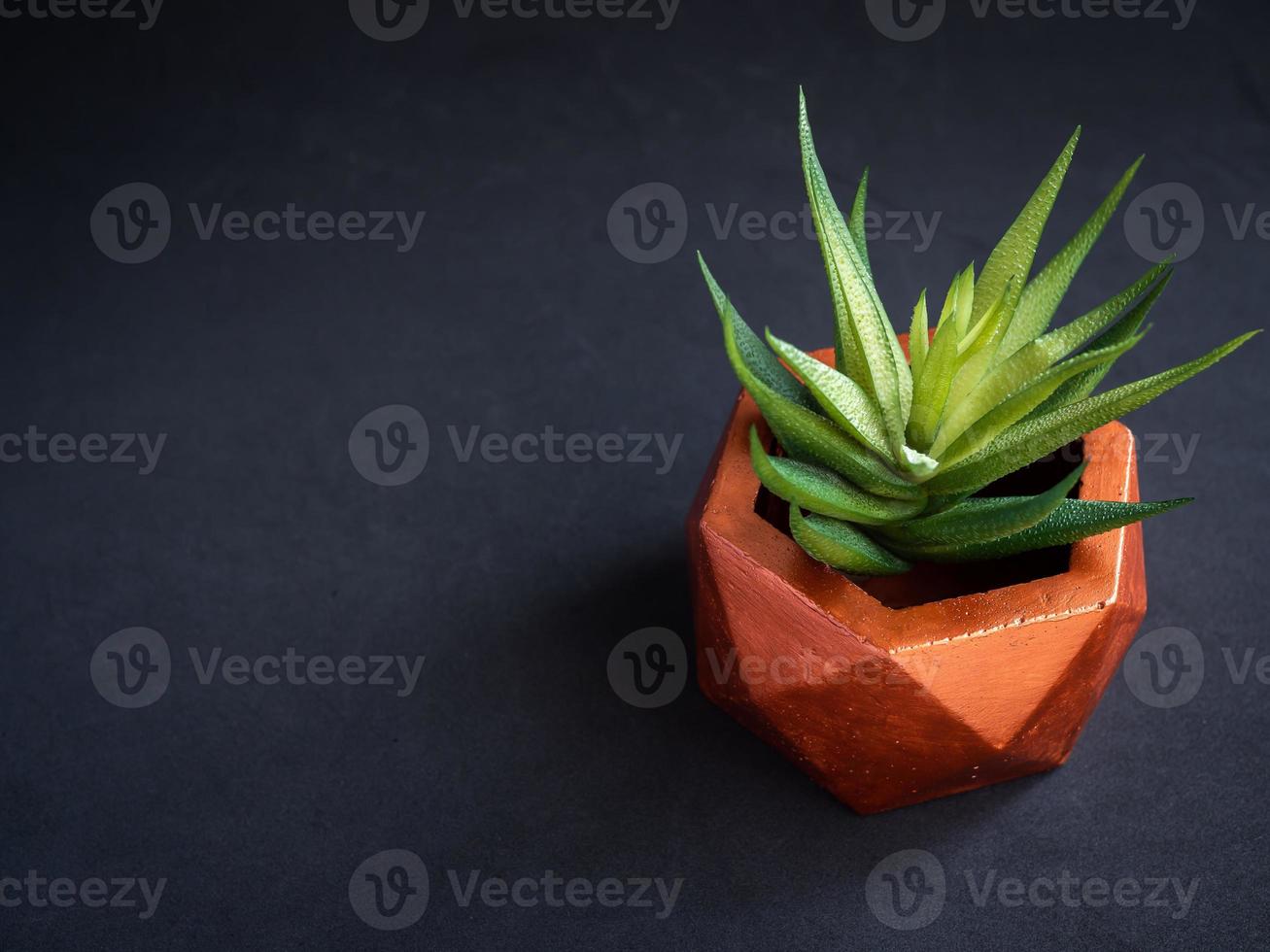 plantador de concreto geométrico moderno com planta suculenta. vaso de concreto pintado para decoração de casa foto