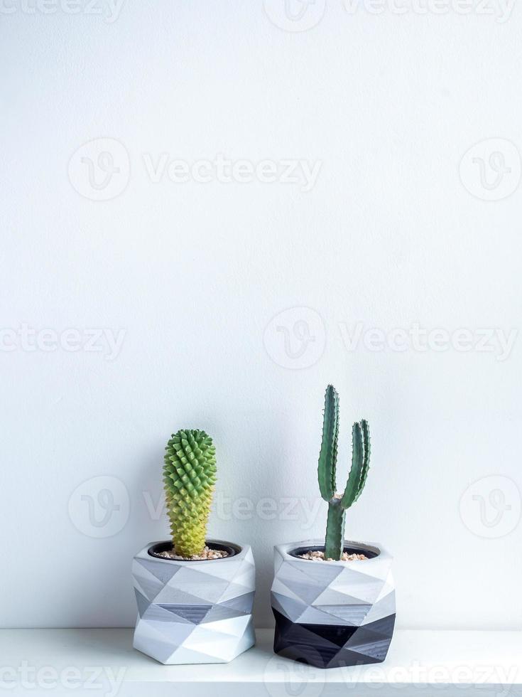 vaso de cacto. pote de concreto. plantador de concreto geométrico moderno. foto