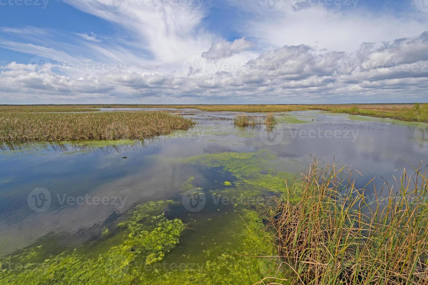 vista panorâmica de um pantanal remoto foto