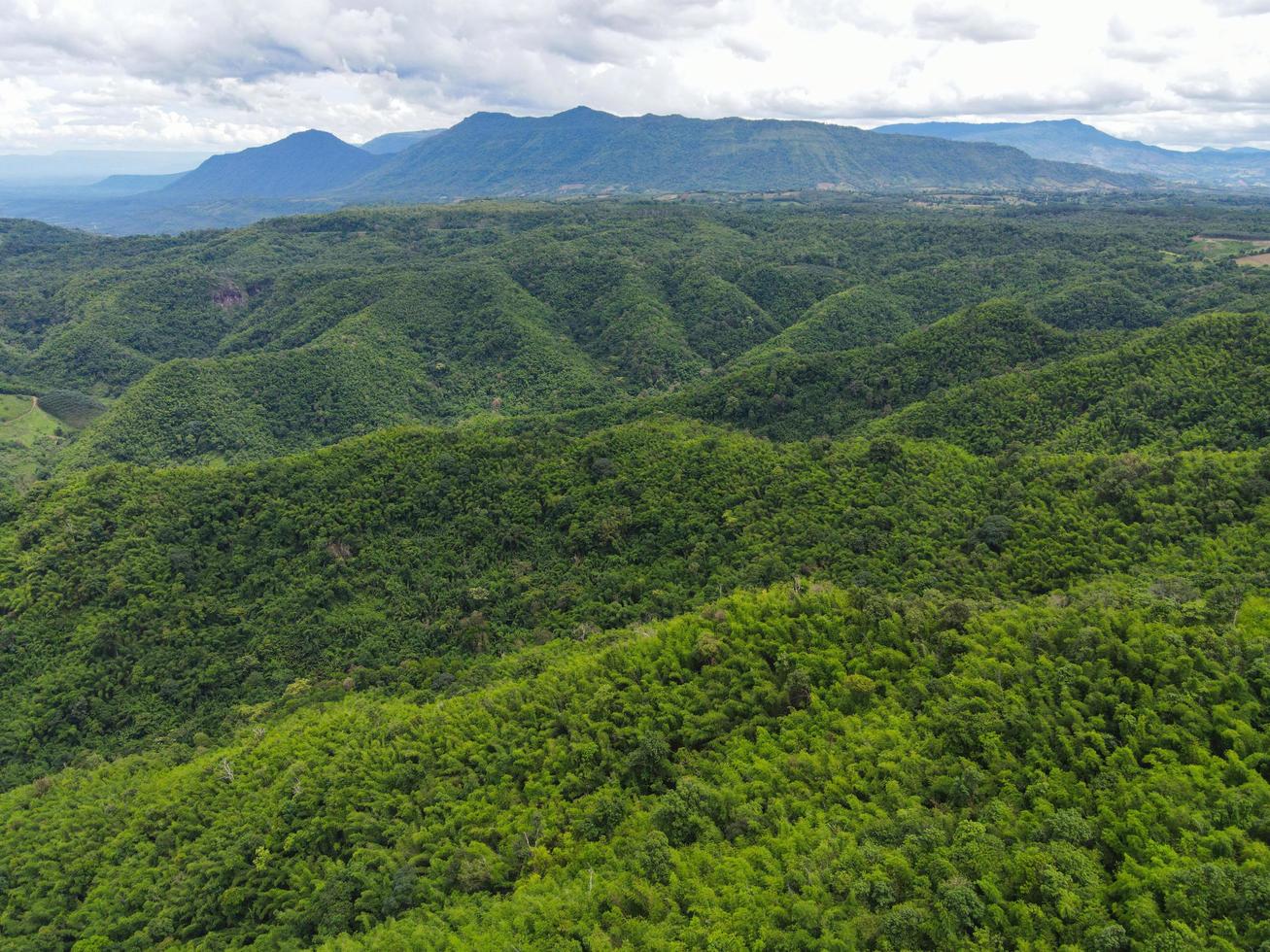 vista aérea floresta árvores fundo selva natureza verde árvore na vista de cima da montanha, floresta colina paisagem paisagem do rio no sudeste da ásia tropical selvagem foto