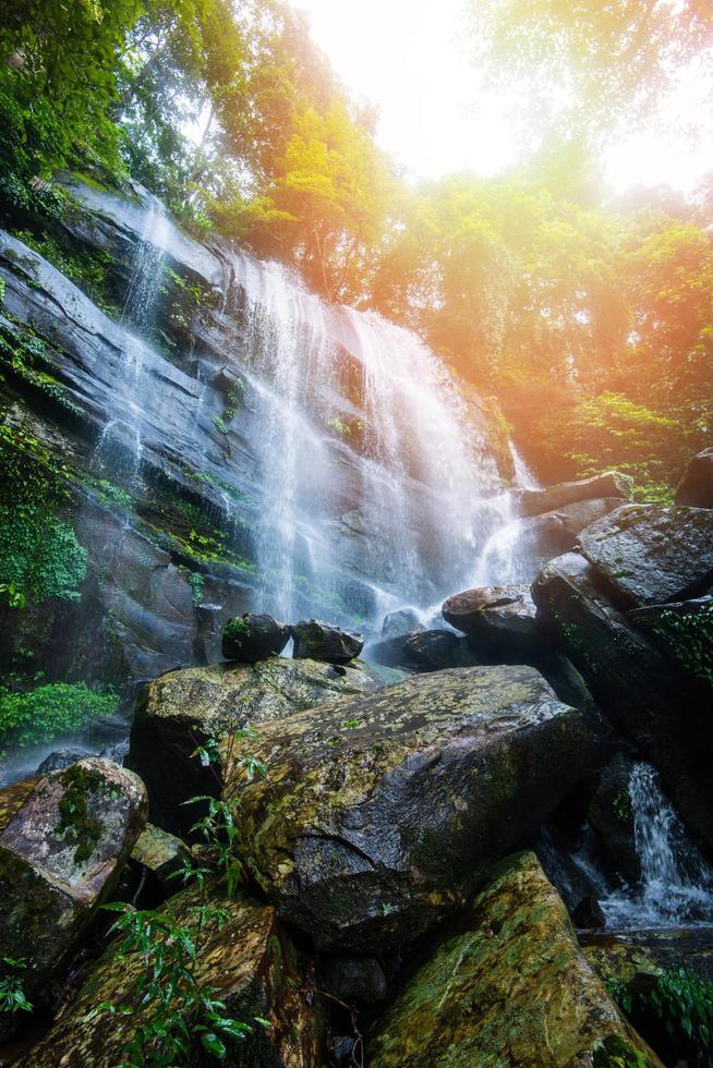 selva linda cachoeira montanha rio corrente panorama cachoeira verde floresta natureza plantar árvore floresta tropical com pedra foto