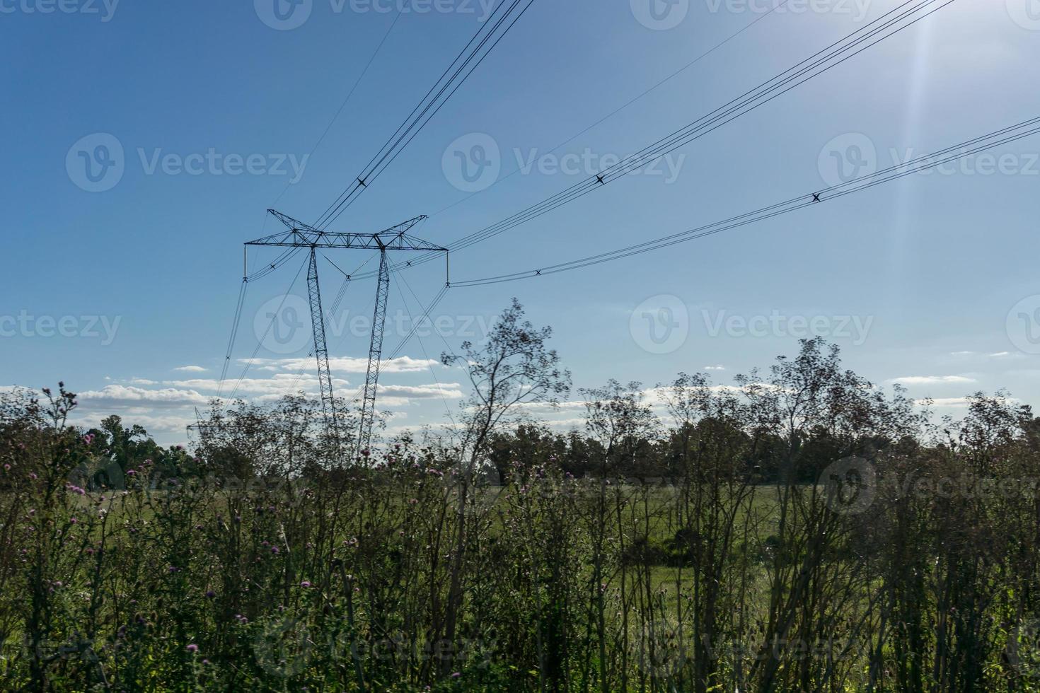 postes de eletricidade de alta tensão cruzando terras agrícolas foto