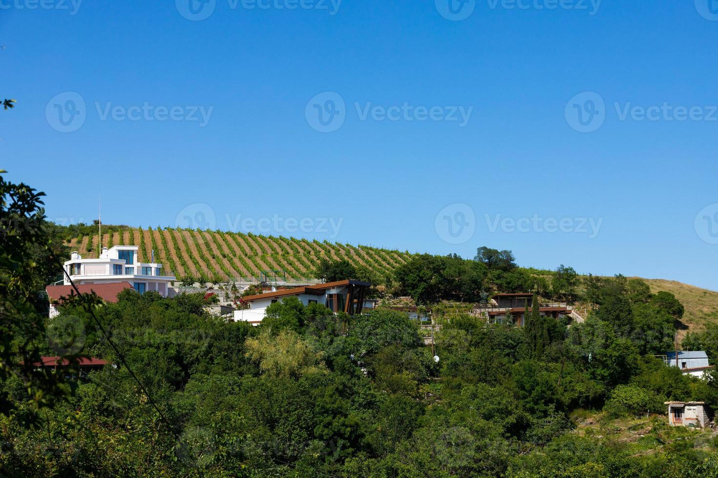 casa entre os vinhedos no verão.slovenske konjice, eslovênia foto