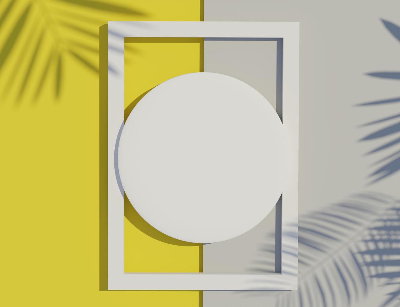 3d renderização vista superior do quadro de cilindro em branco branco para simular e exibir produtos com sombras de folhas de palmeira e fundo azul branco. foto