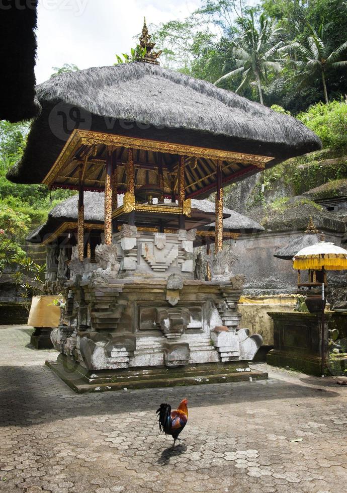 templo de gunung kawi foto