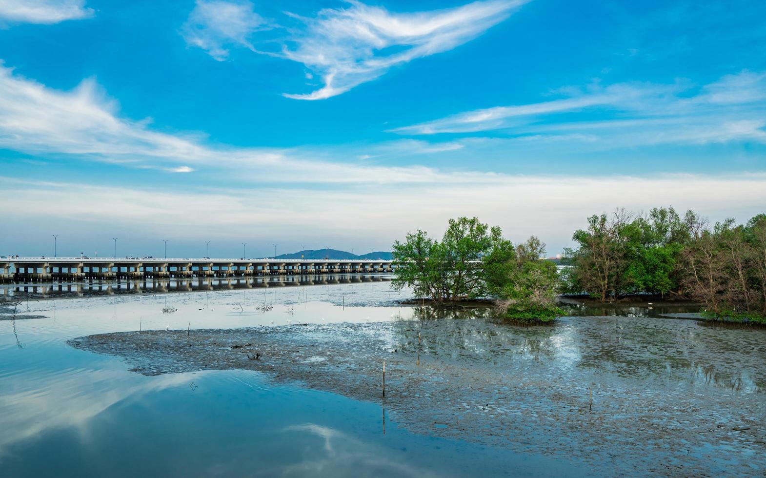 floresta de mangue, ponte de concreto e lindo céu azul e nuvens. foto