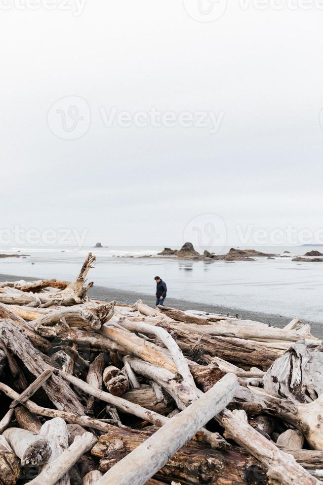 madeira flutuante na praia foto