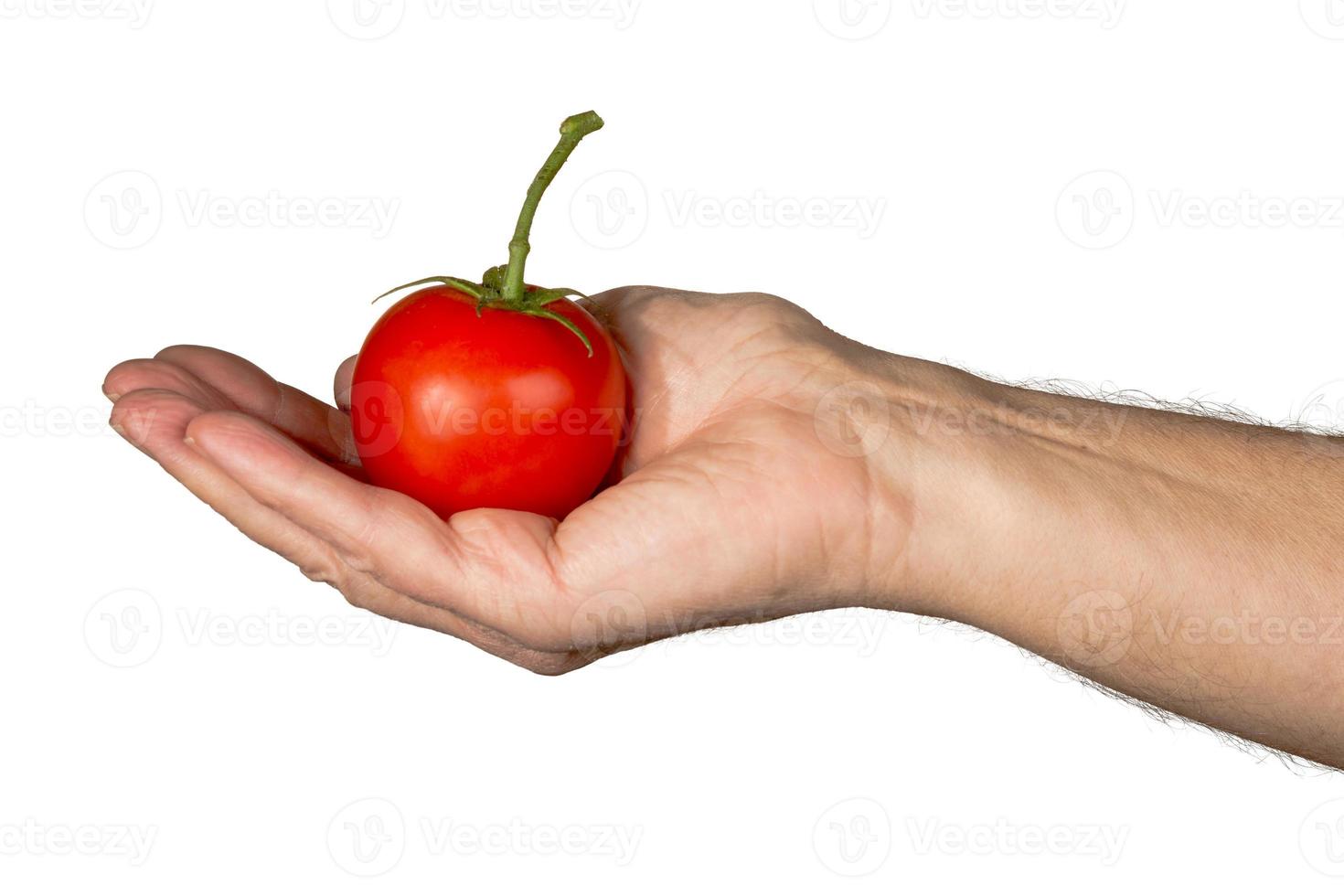 caucasiano mans mão segurando o tomate orgânico grande foto