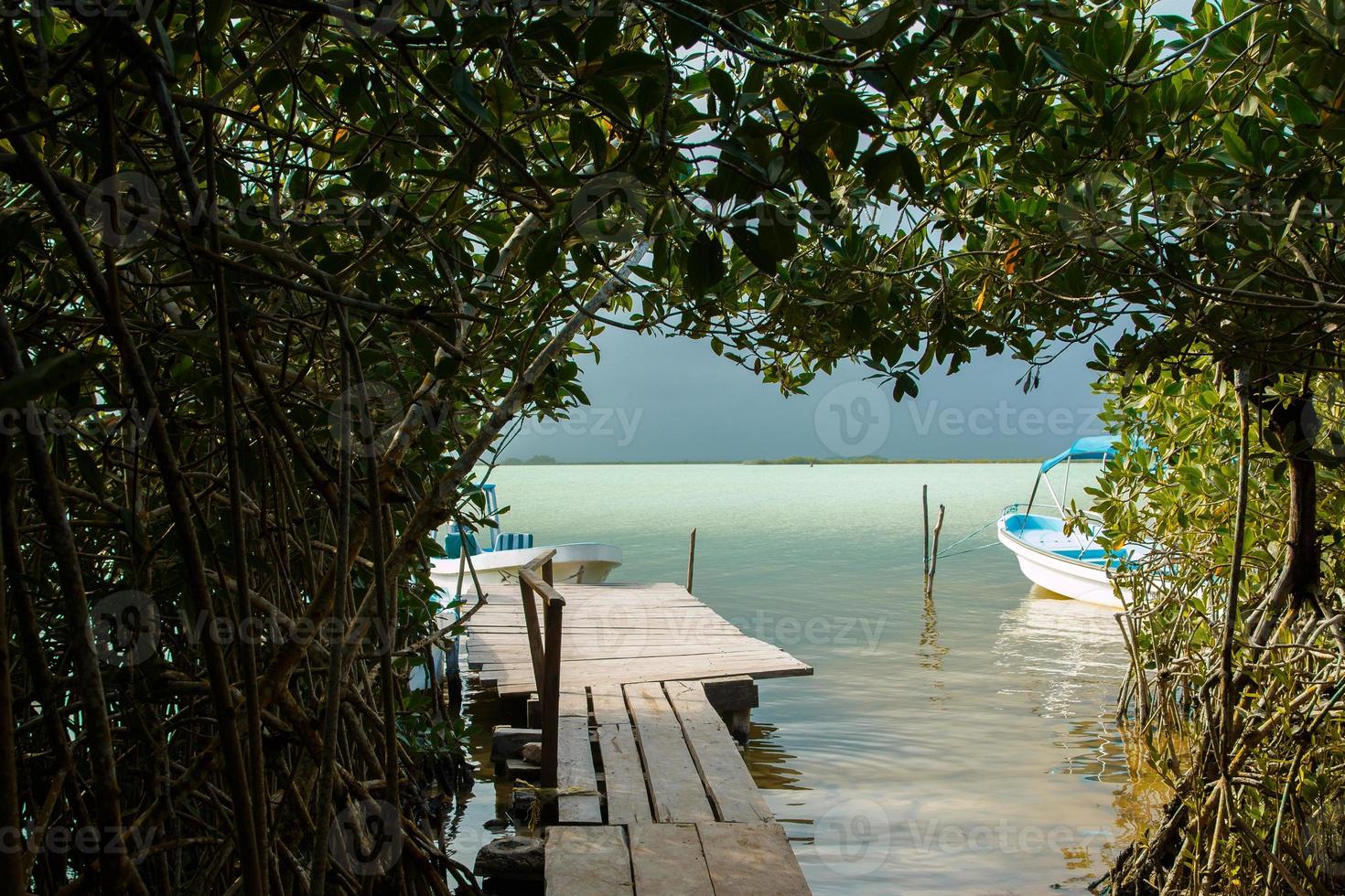 túnel na selva para o lago foto