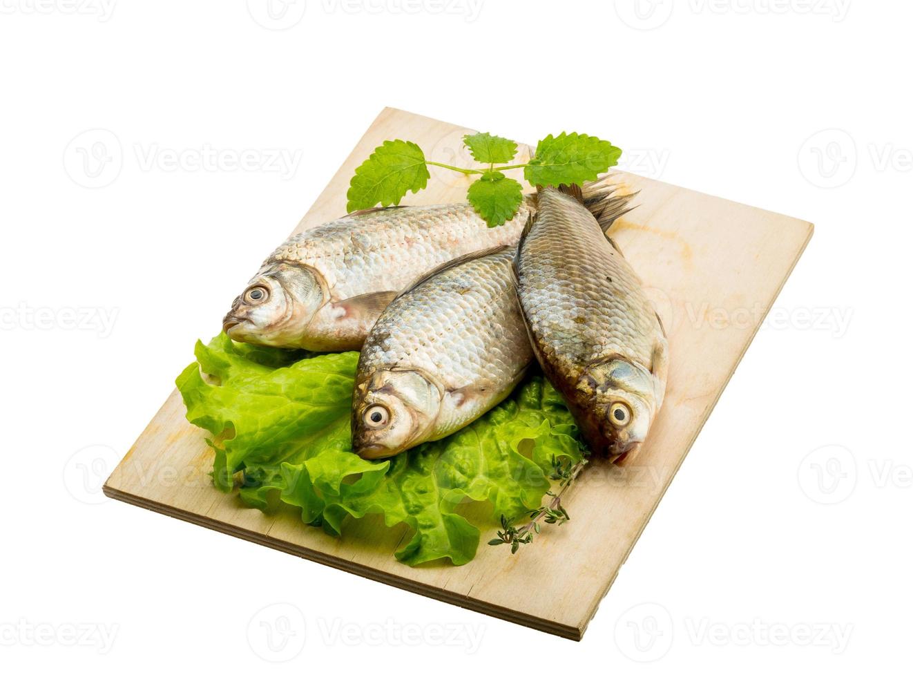 peixe cruciano isolado no fundo branco foto