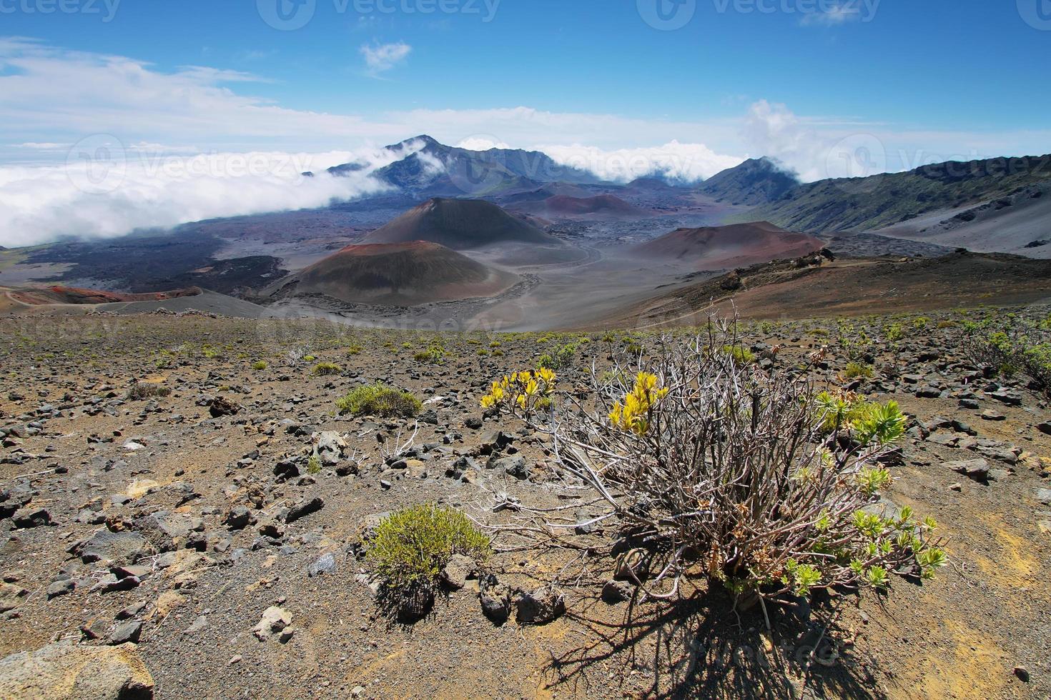 caldeira do vulcão haleakala na ilha de maui foto