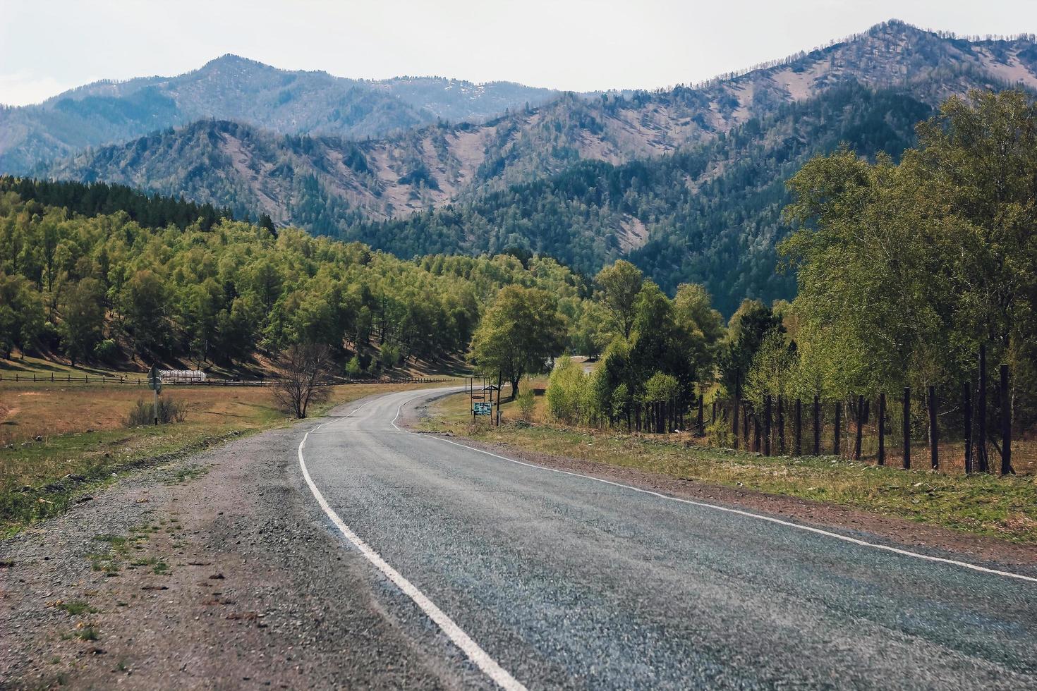 estrada na floresta verde para a montanha. estrada vazia sem pessoas e transporte. conceito de viagem. paisagem de verão em altai, sibéria. foto