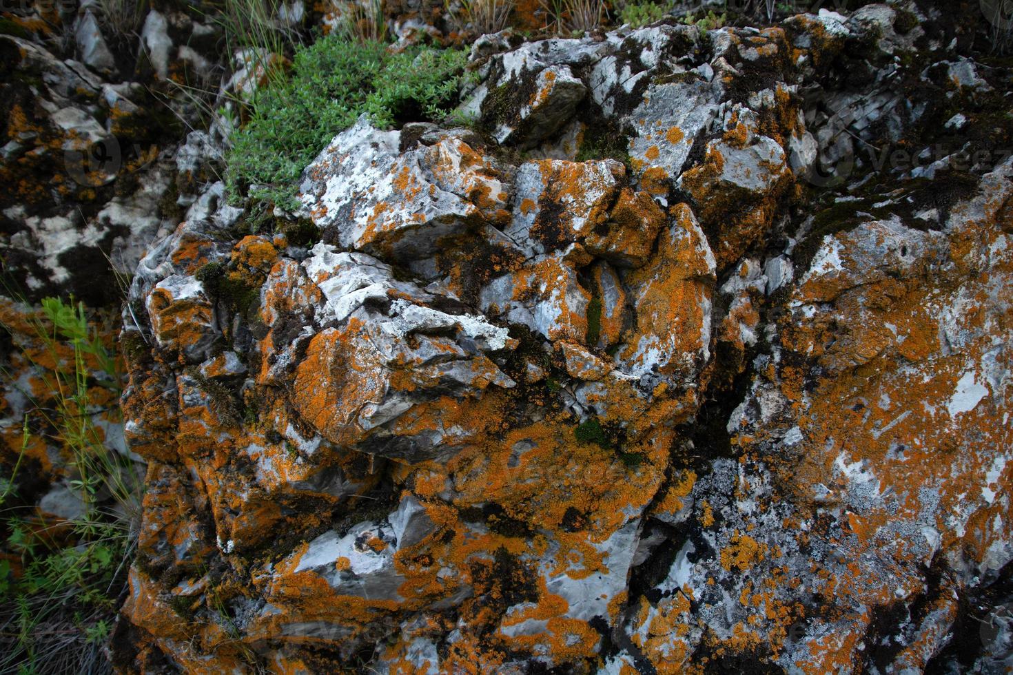 rock close-up com grama e céu azul foto