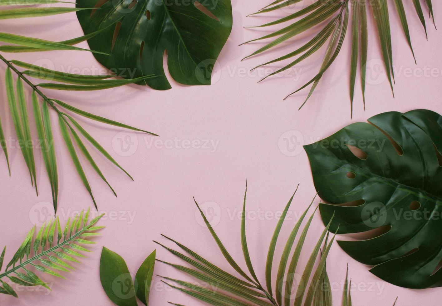 folhas de palmeira tropical em fundo rosa para design. estilo de verão. imagem de alta qualidade. vista do topo foto