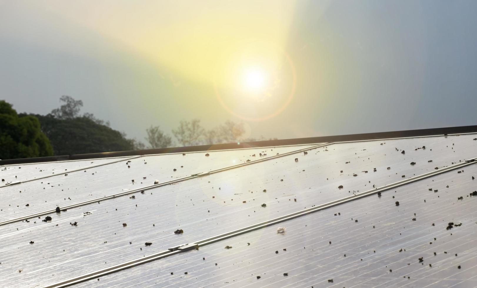 telhado do painel fotovoltaico do edifício que suja com poeira, pássaros caindo na superfície foto