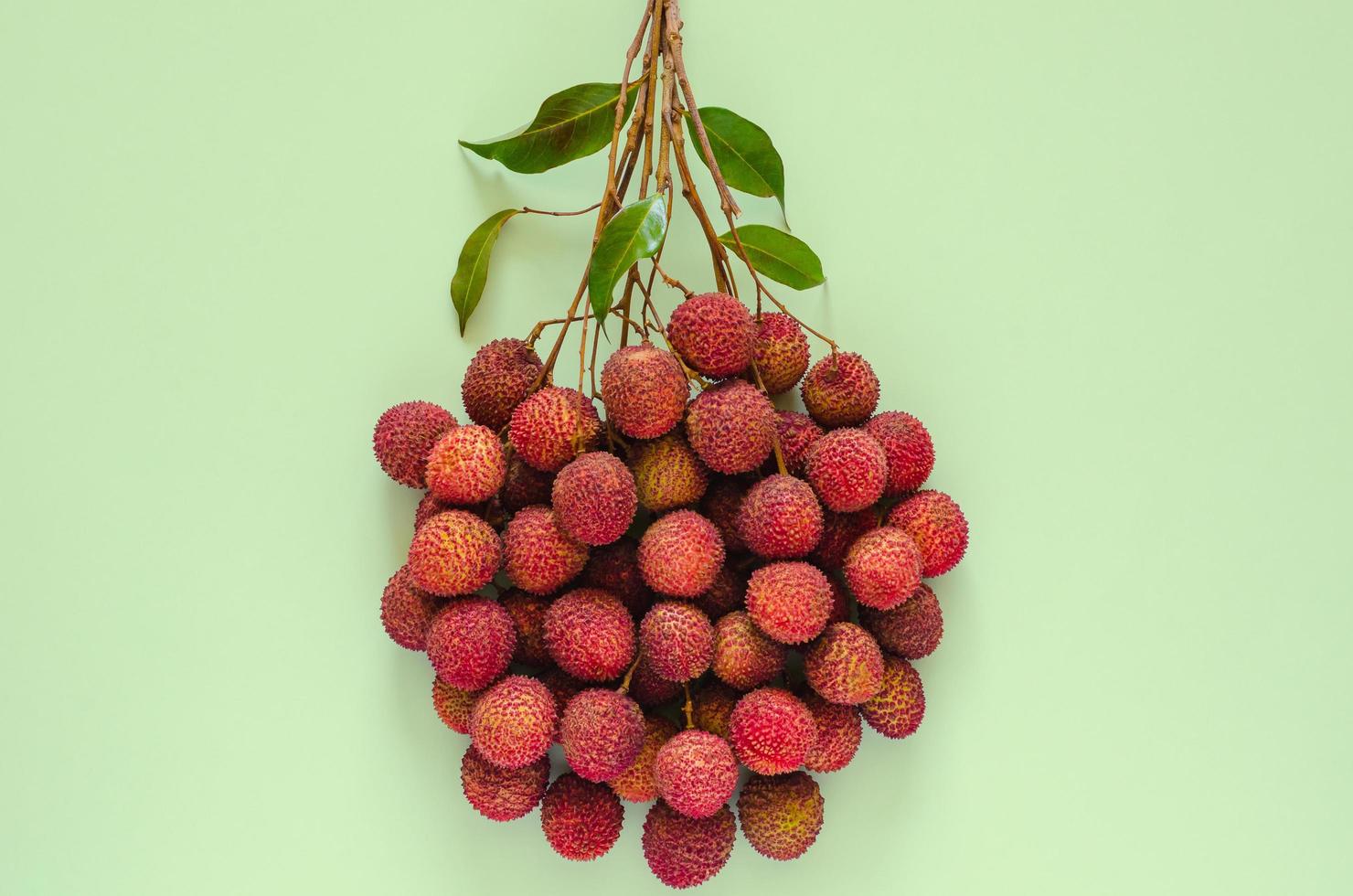 frutas frescas de lichia com caule e folhas, frutas asiáticas exóticas em fundo rosa. foto