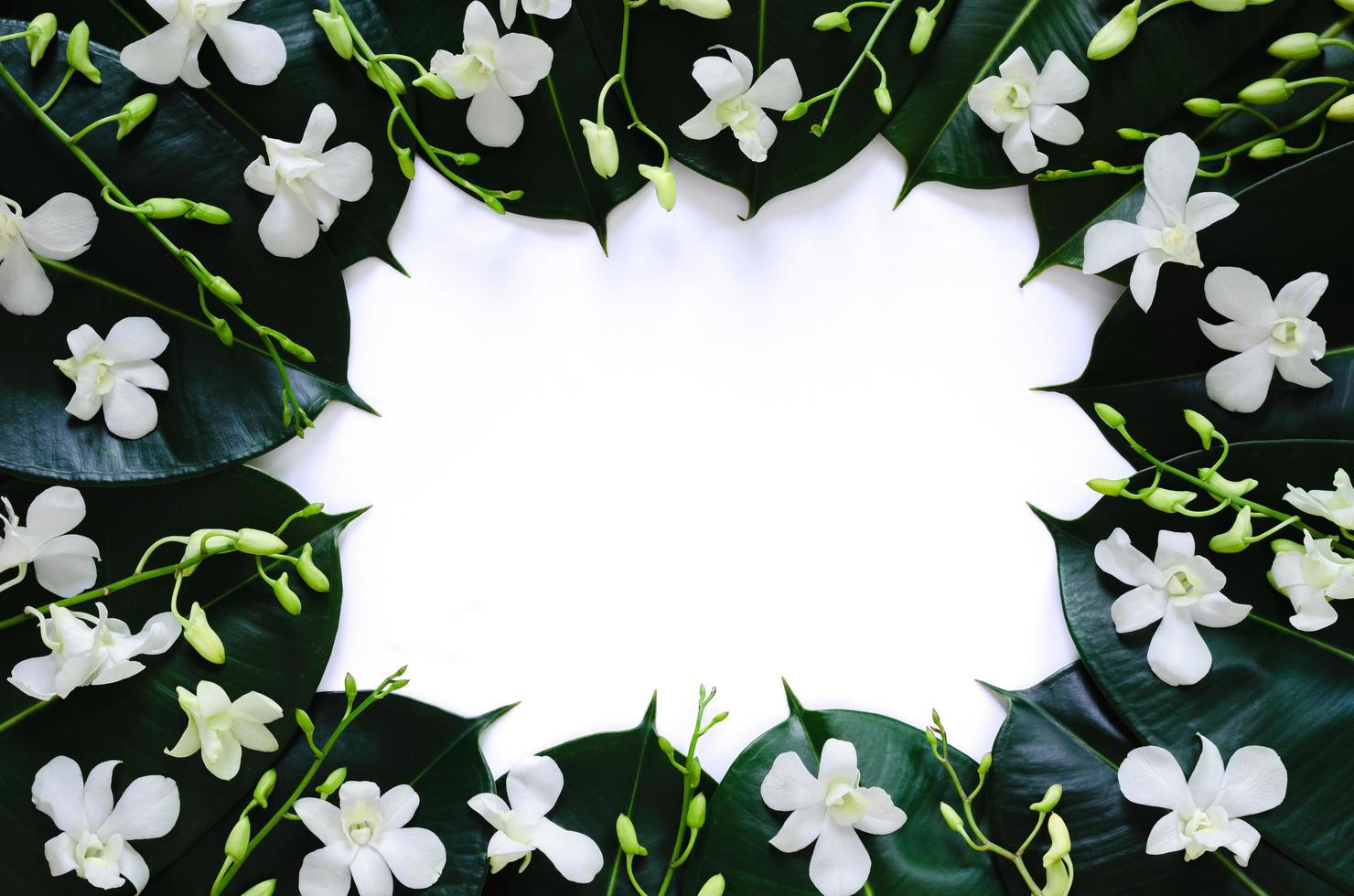 flores de orquídeas brancas colocadas em folhas de seringueira para o conceito de foto de flor de primavera.