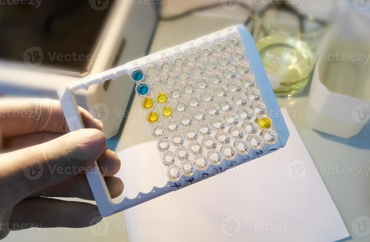 ensaio imunossorvente ligado a enzima ou placa elisa, método de teste de imunologia ou sorologia em laboratório médico foto