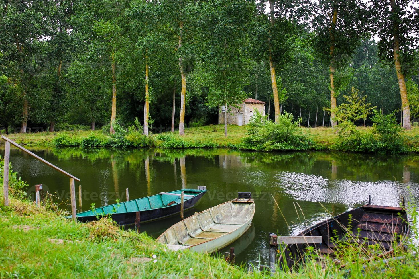 o pântano poitevin foto