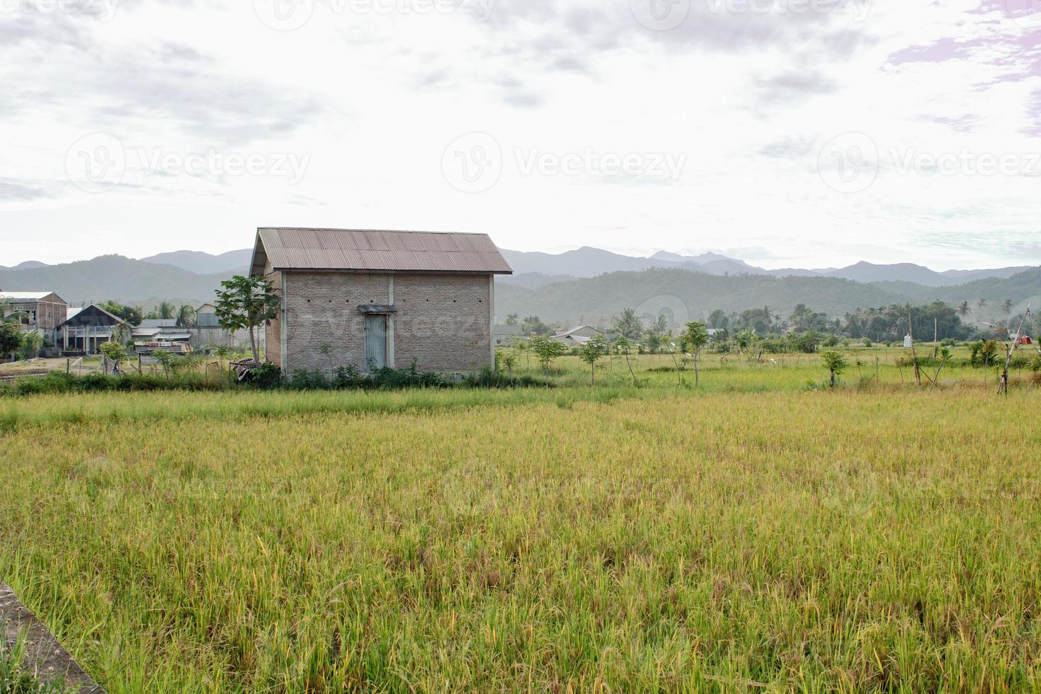 casa no meio de campos de arroz foto