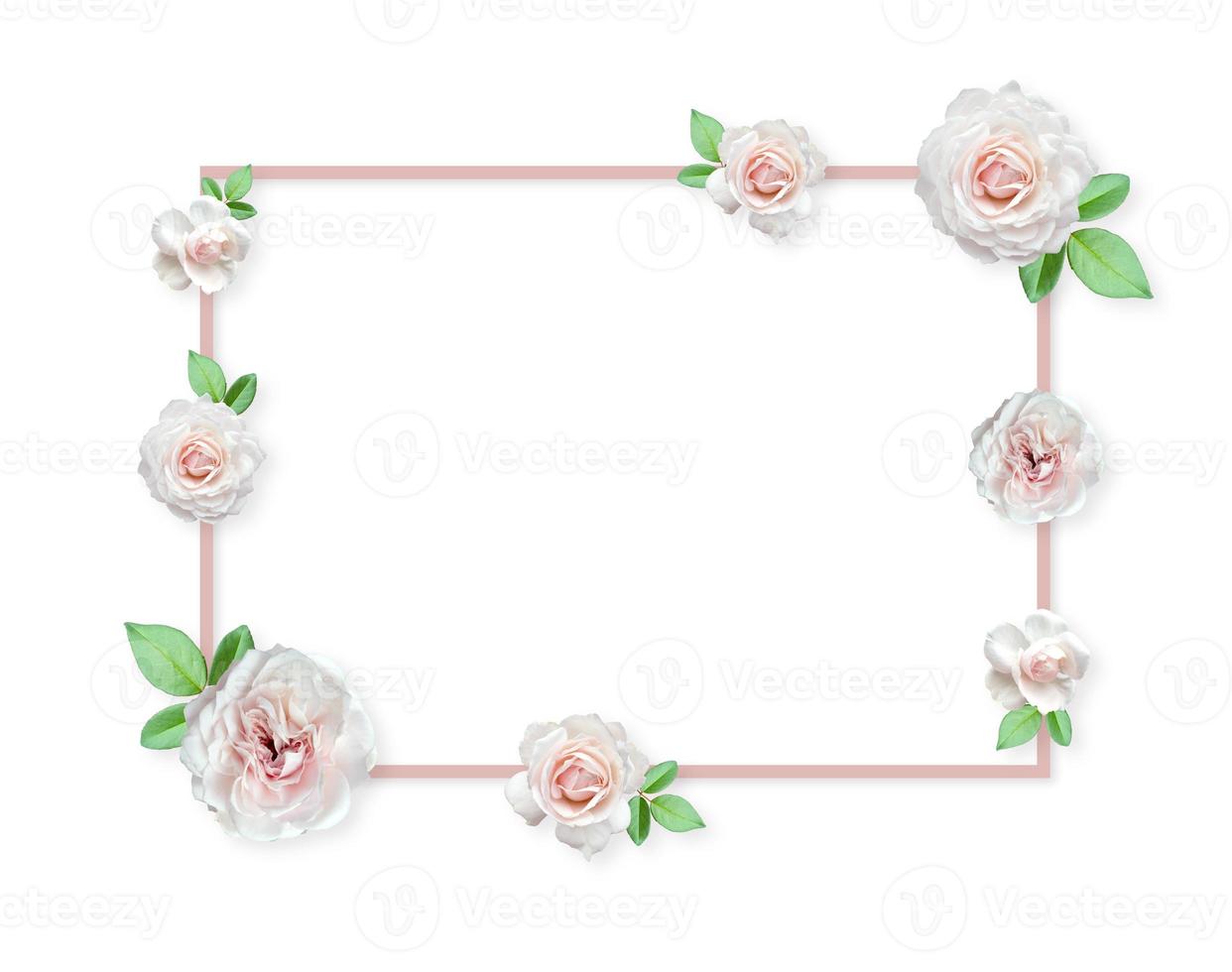 arranjo de rosas brancas, moldura de flores. foto