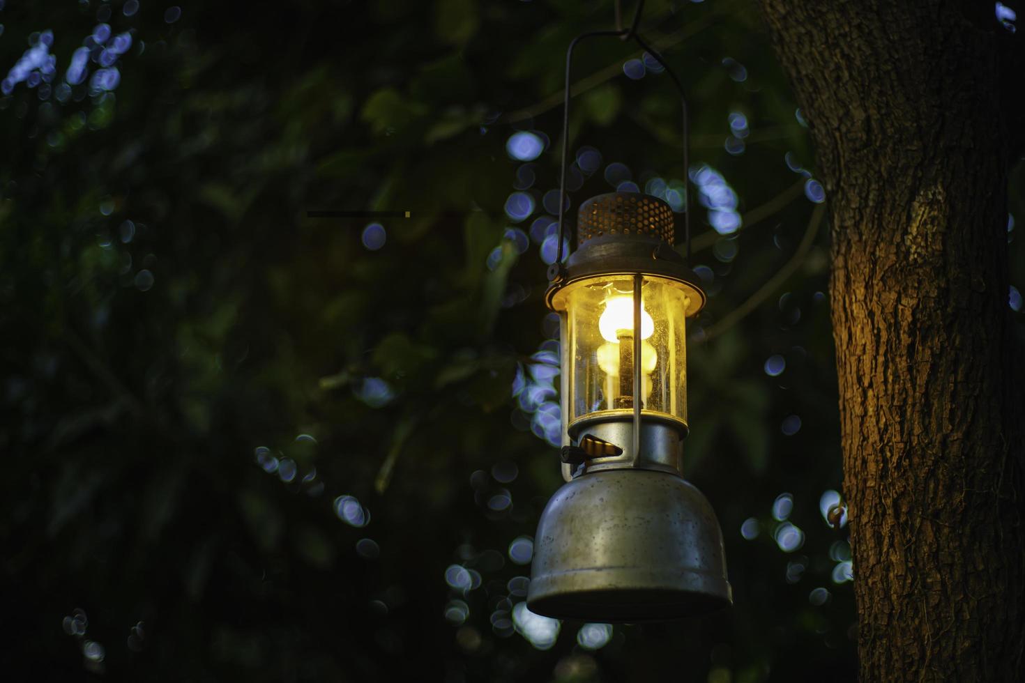 Lâmpada de óleo antiga pendurada em uma árvore na floresta à noite camping atmosfera.travel conceito ao ar livre image.soft foco. foto