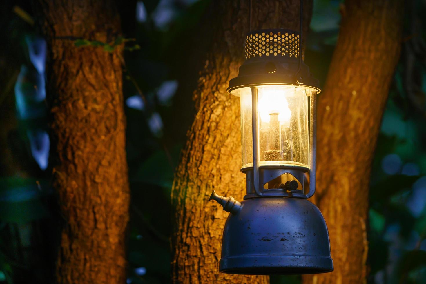 Lâmpada de óleo antiga pendurada em uma árvore na floresta à noite camping atmosfera.travel conceito ao ar livre image.soft foco. foto