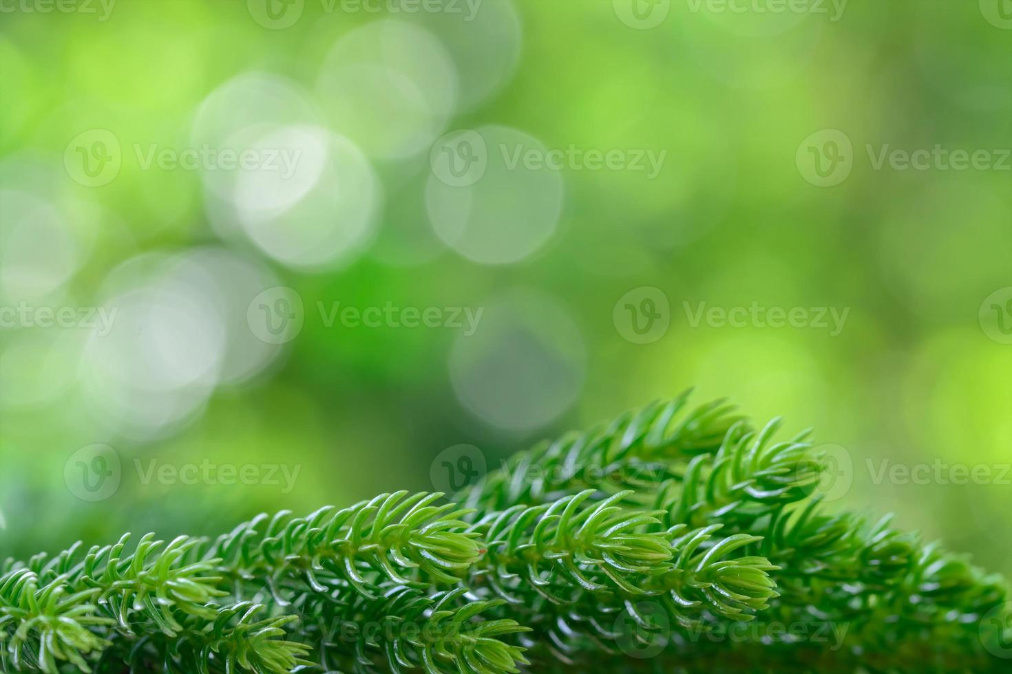 fundo de árvore de natal com bokeh de círculo foto