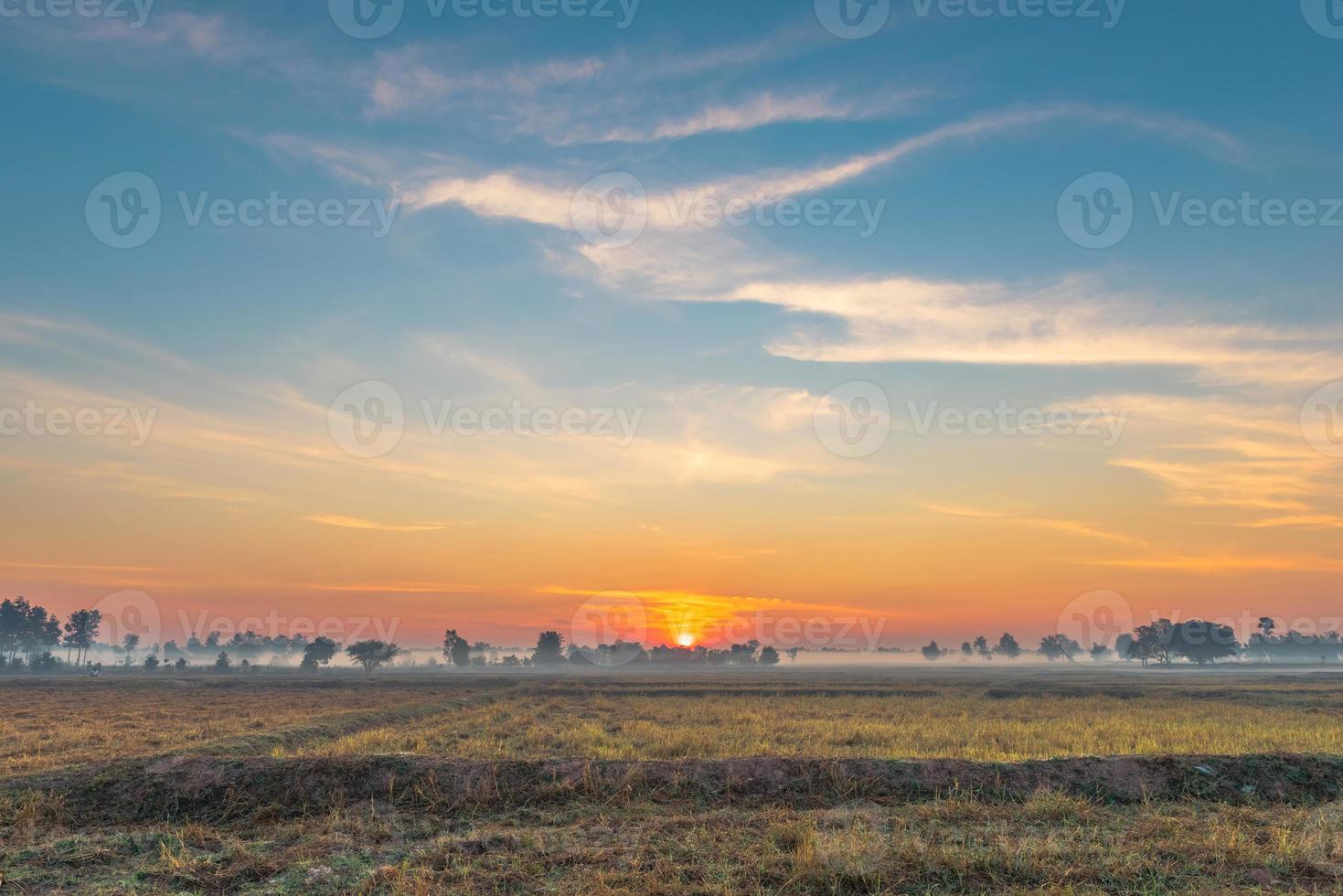 paisagem rural os campos no nevoeiro da manhã do nascer do sol e lindo céu foto