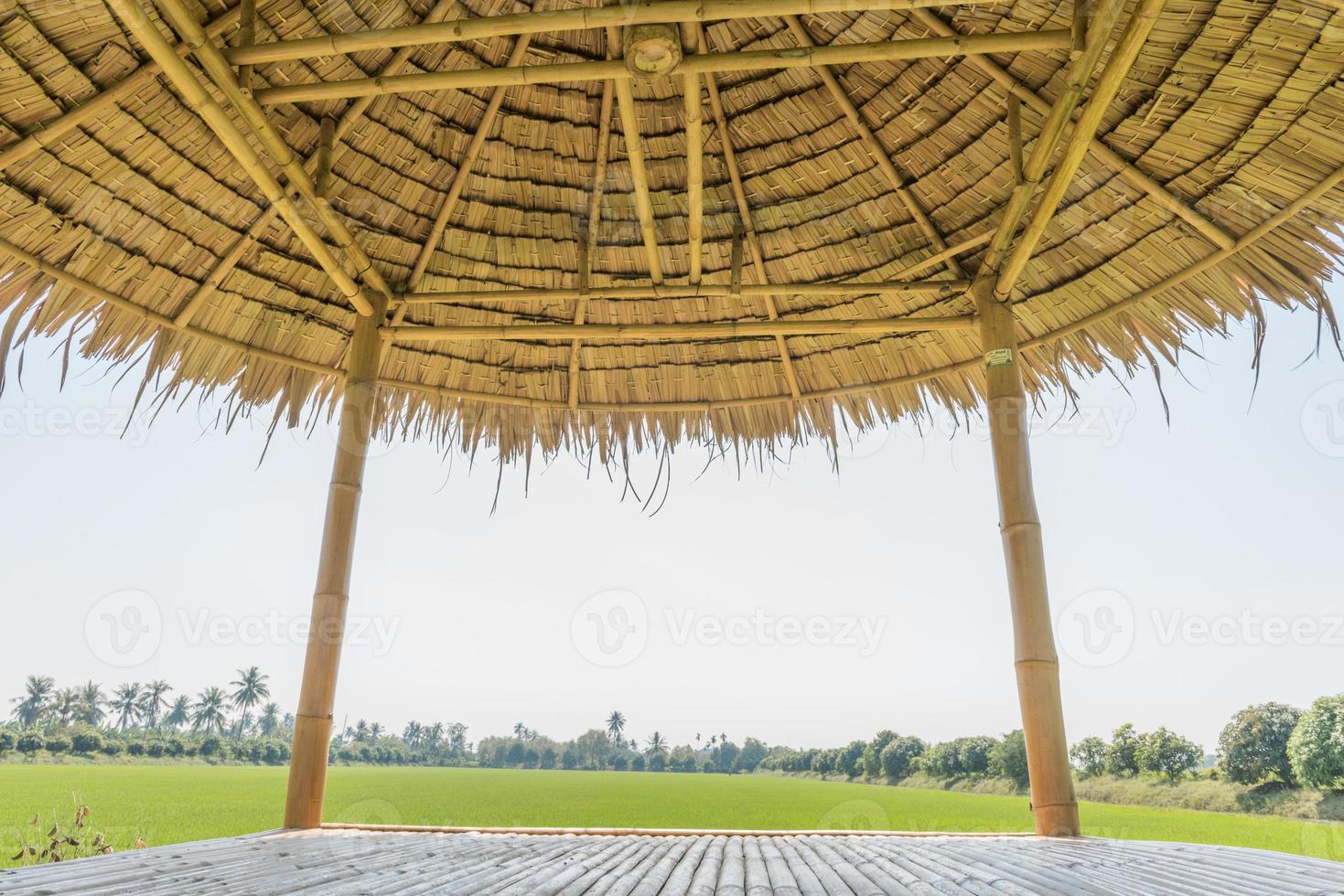 as cabanas de madeira em um arroz verde no campo uma vasta área foto