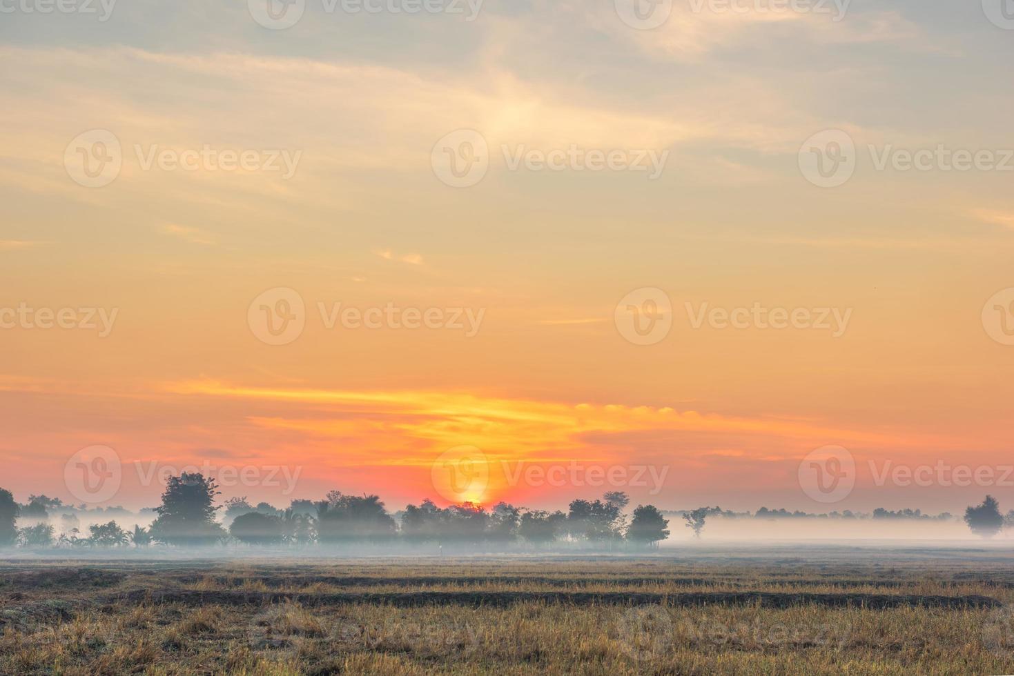 paisagem rural os campos no nevoeiro da manhã do nascer do sol e lindo céu foto