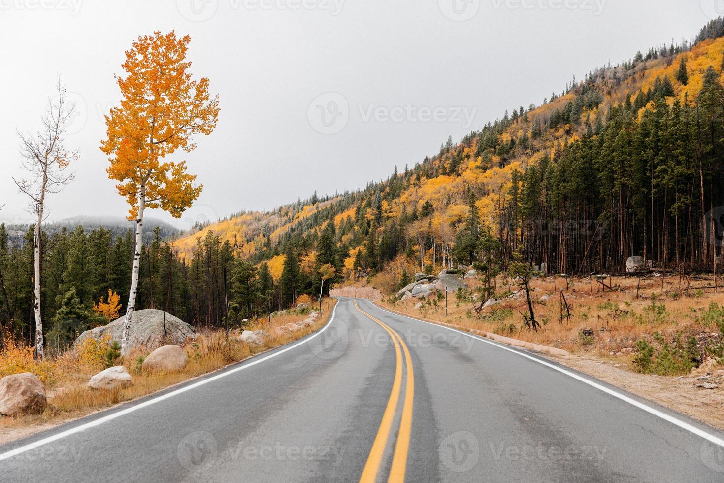 estrada através de uma paisagem de outono foto