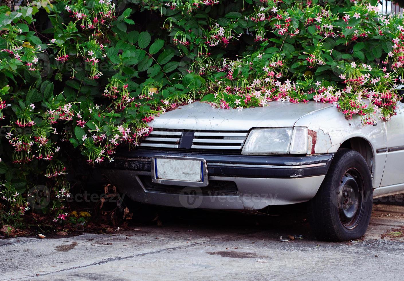 carro velho na flor do mato foto