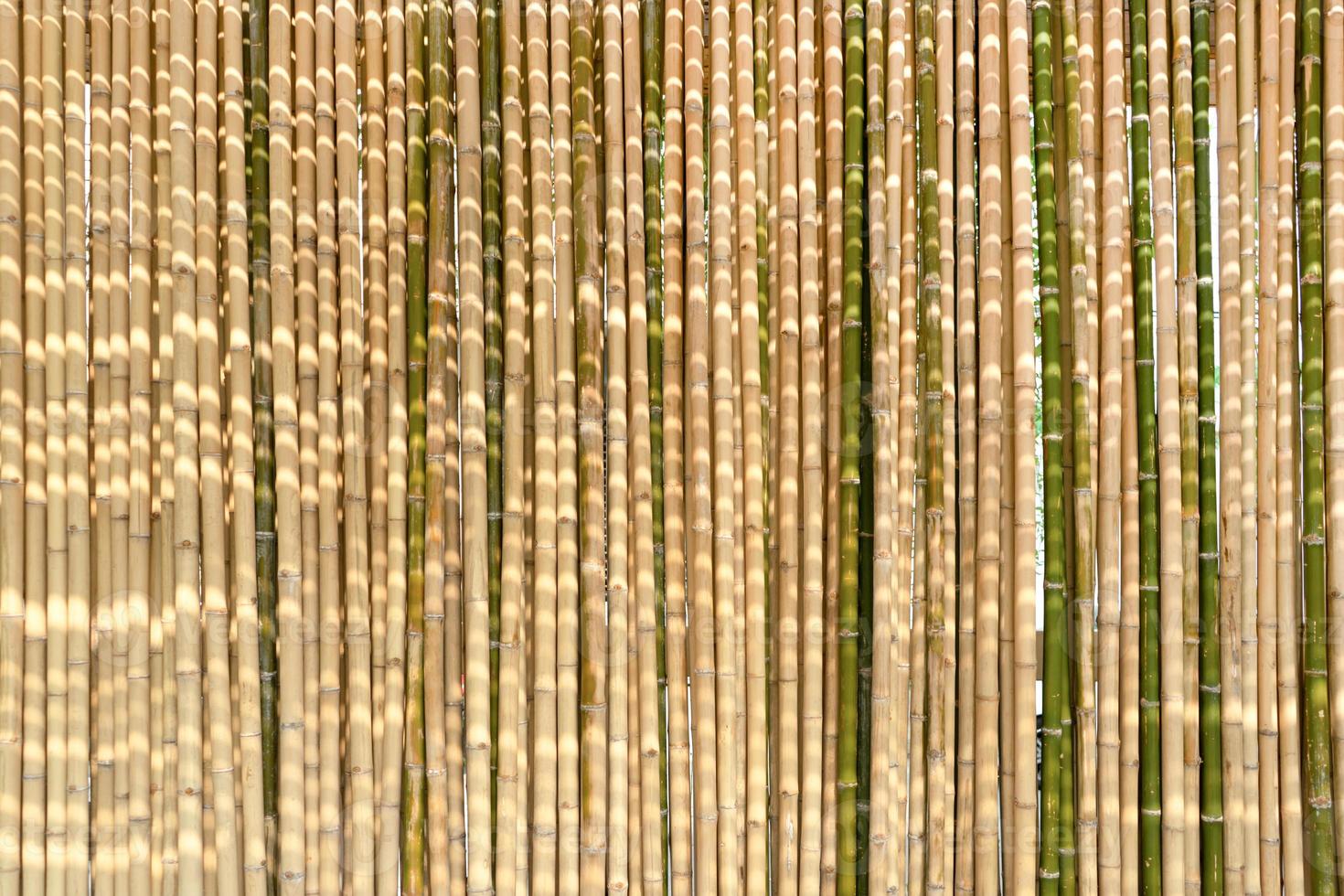 fundo de bambu e ripas de pano de fundo são dispostas na divisória da parede e cerca pela manhã com luz solar. foto