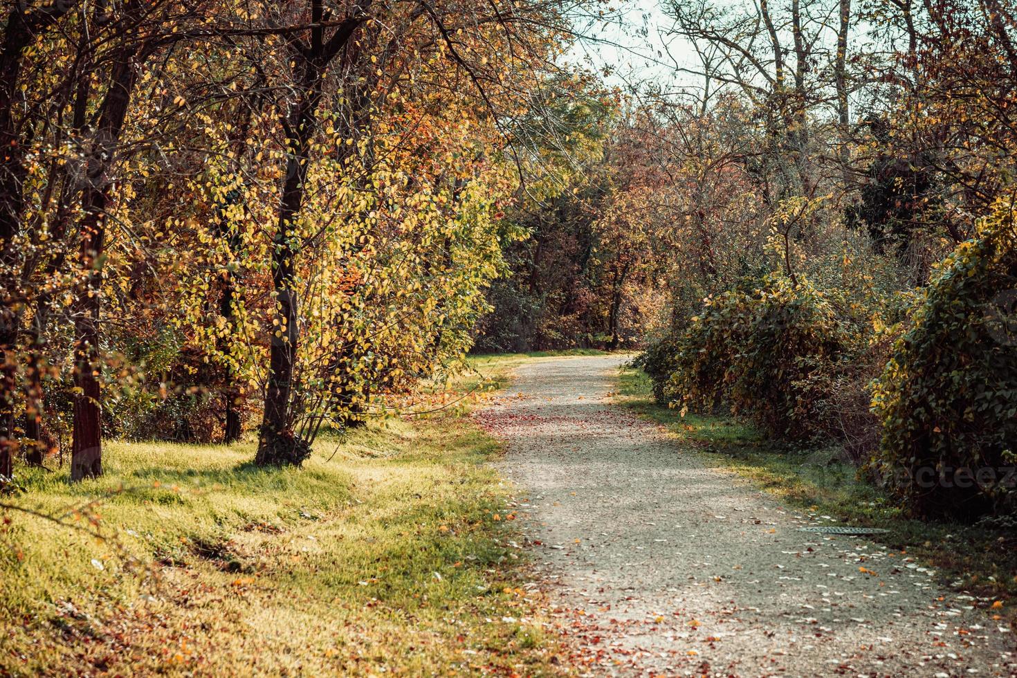 um caminho no parque da cidade no outono foto