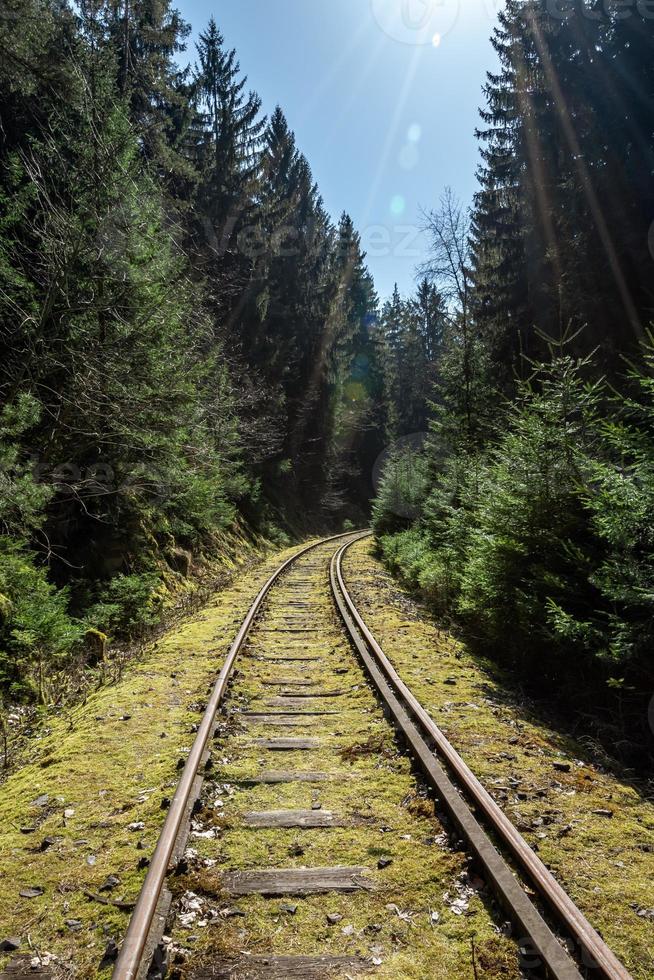 ferrovia na floresta com luz solar foto