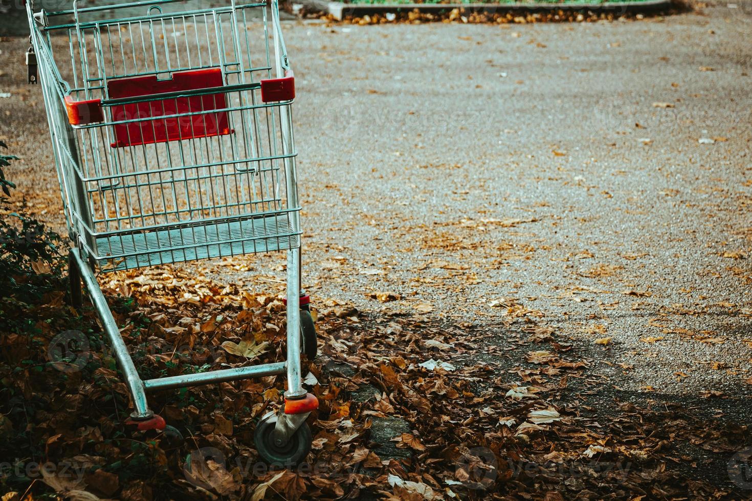 carrinho de compras na natureza foto