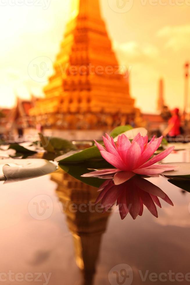 tailândia bangkok wat phra kaew flor de lótus foto