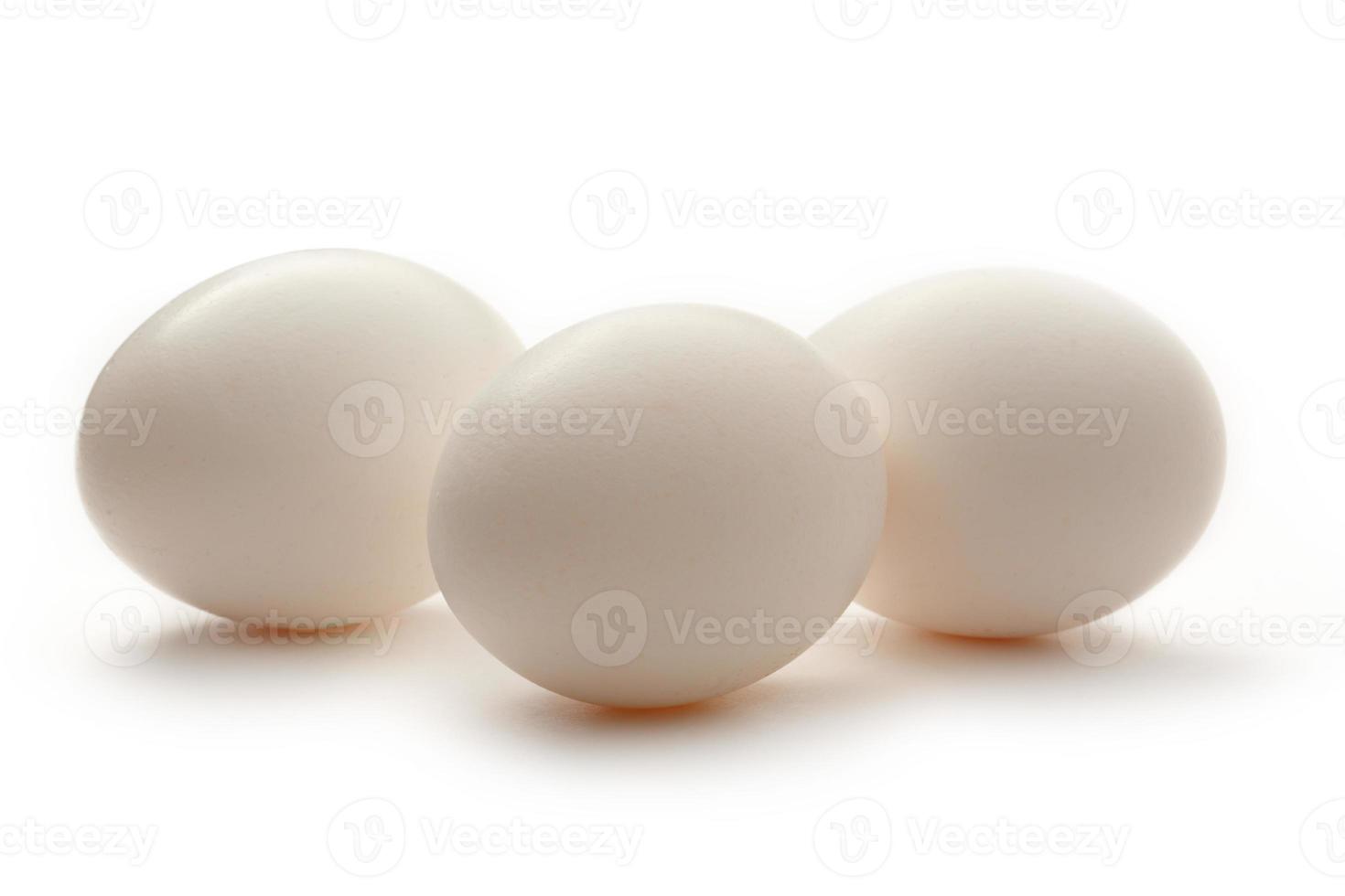 ovos no fundo branco foto
