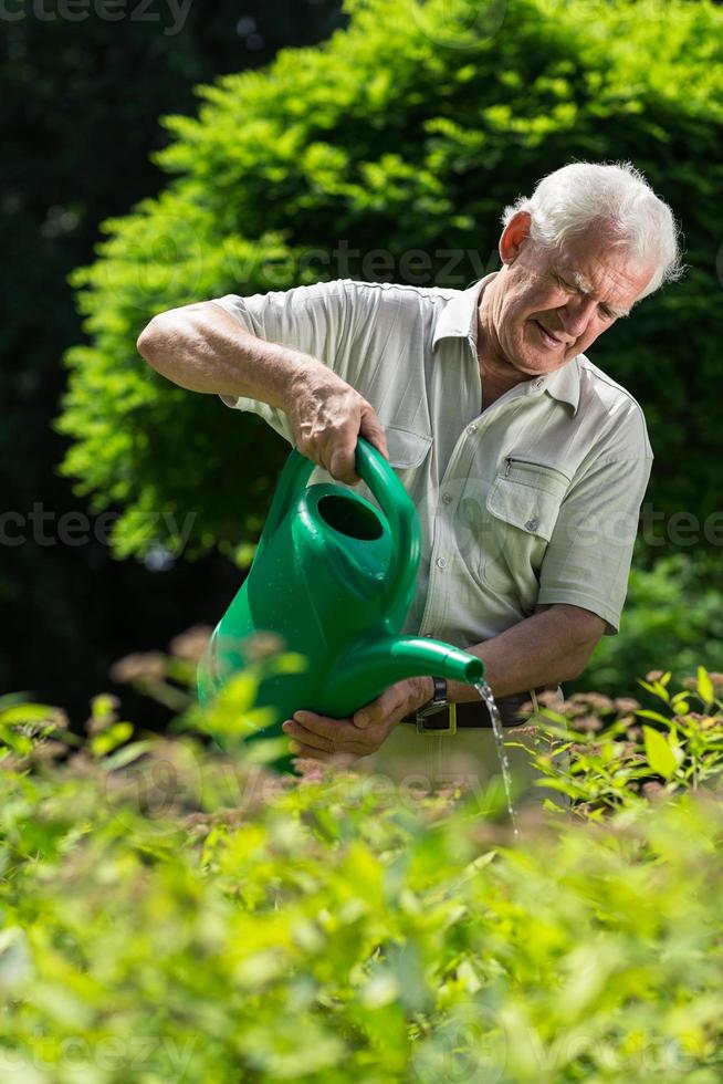 plantas molhando de homem mais velho foto