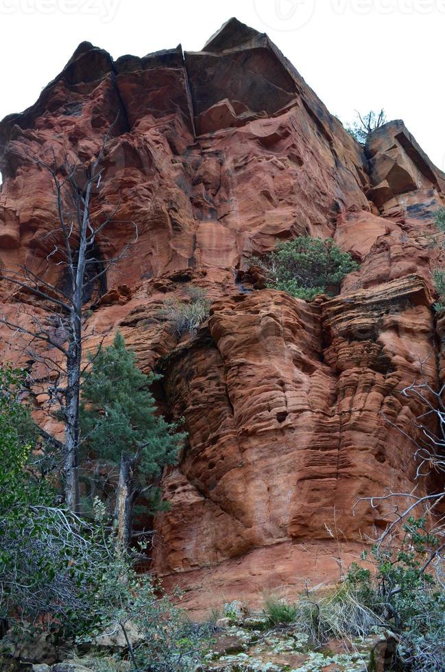 formação rochosa vermelha geológica com um punhado de árvores foto