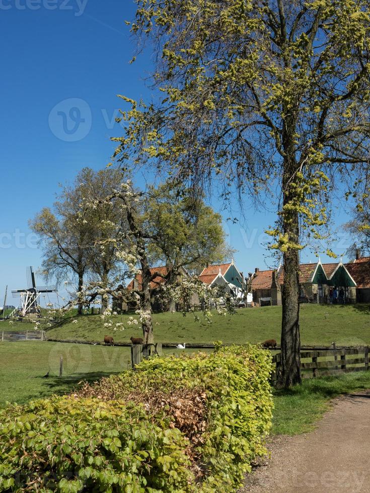 a cidade holandesa de enkhuizen foto