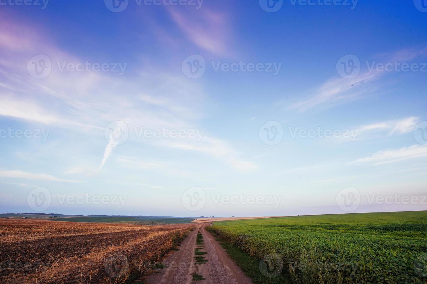 estrada da vila no campo de trigo sob céu nublado foto