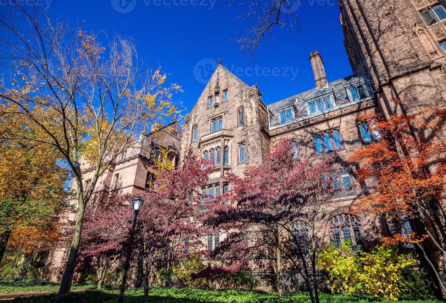 New Haven City Downtown Skyline Cityscape de Connecticut, EUA foto