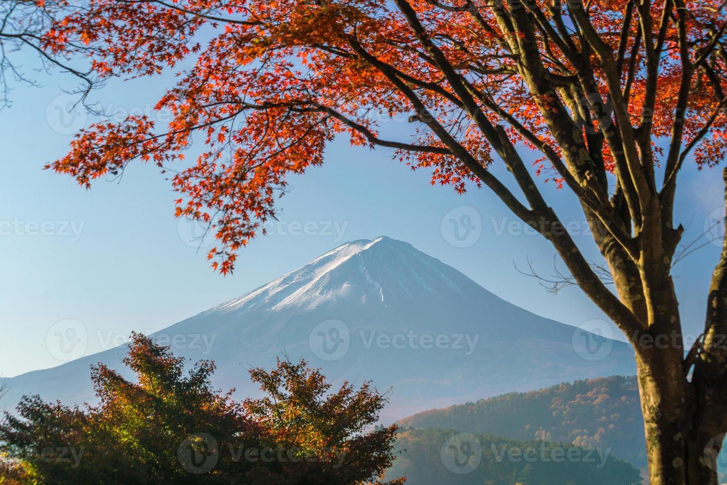 monte fuji no outono com folhas de bordo vermelho foto