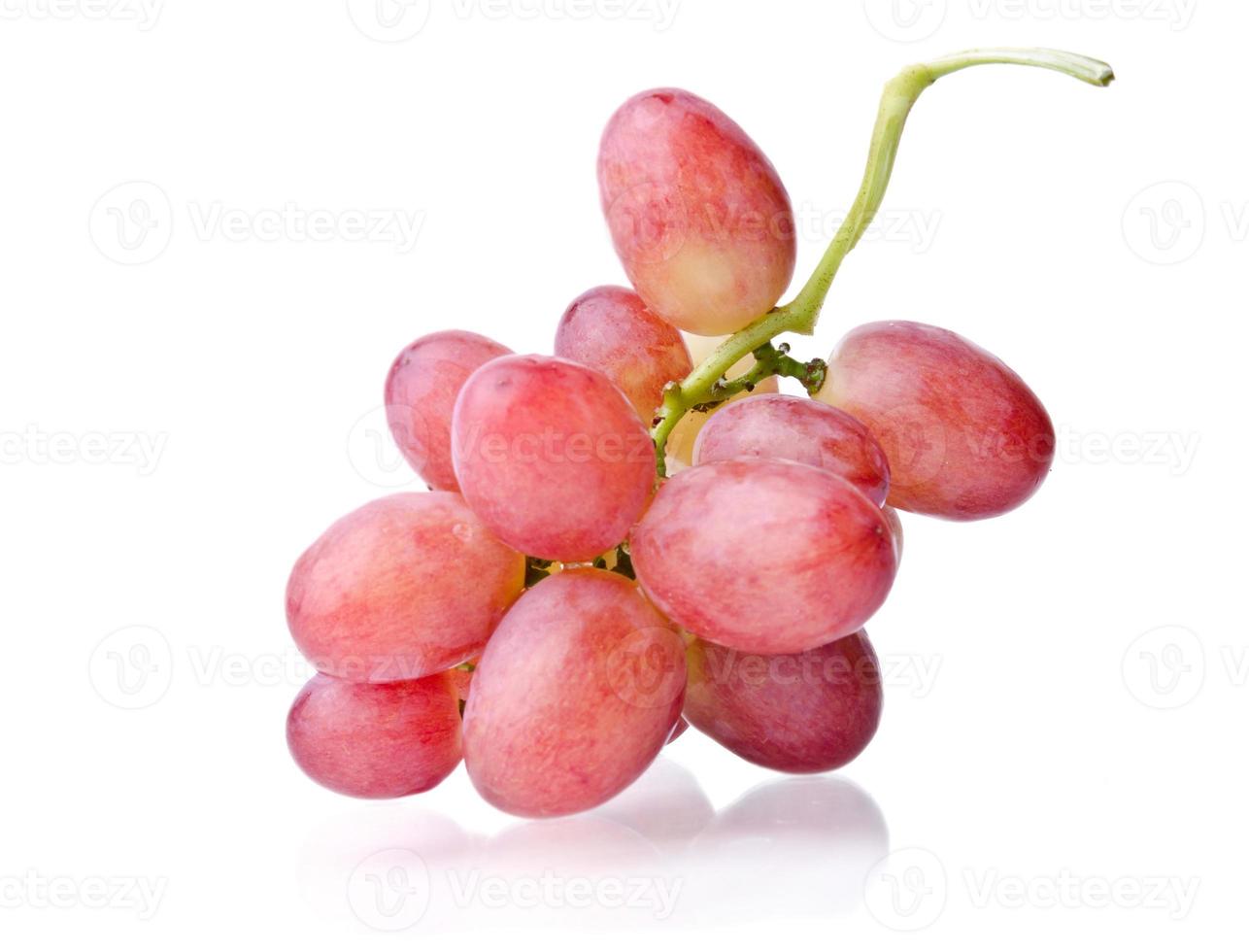 cacho de uvas suculento foto