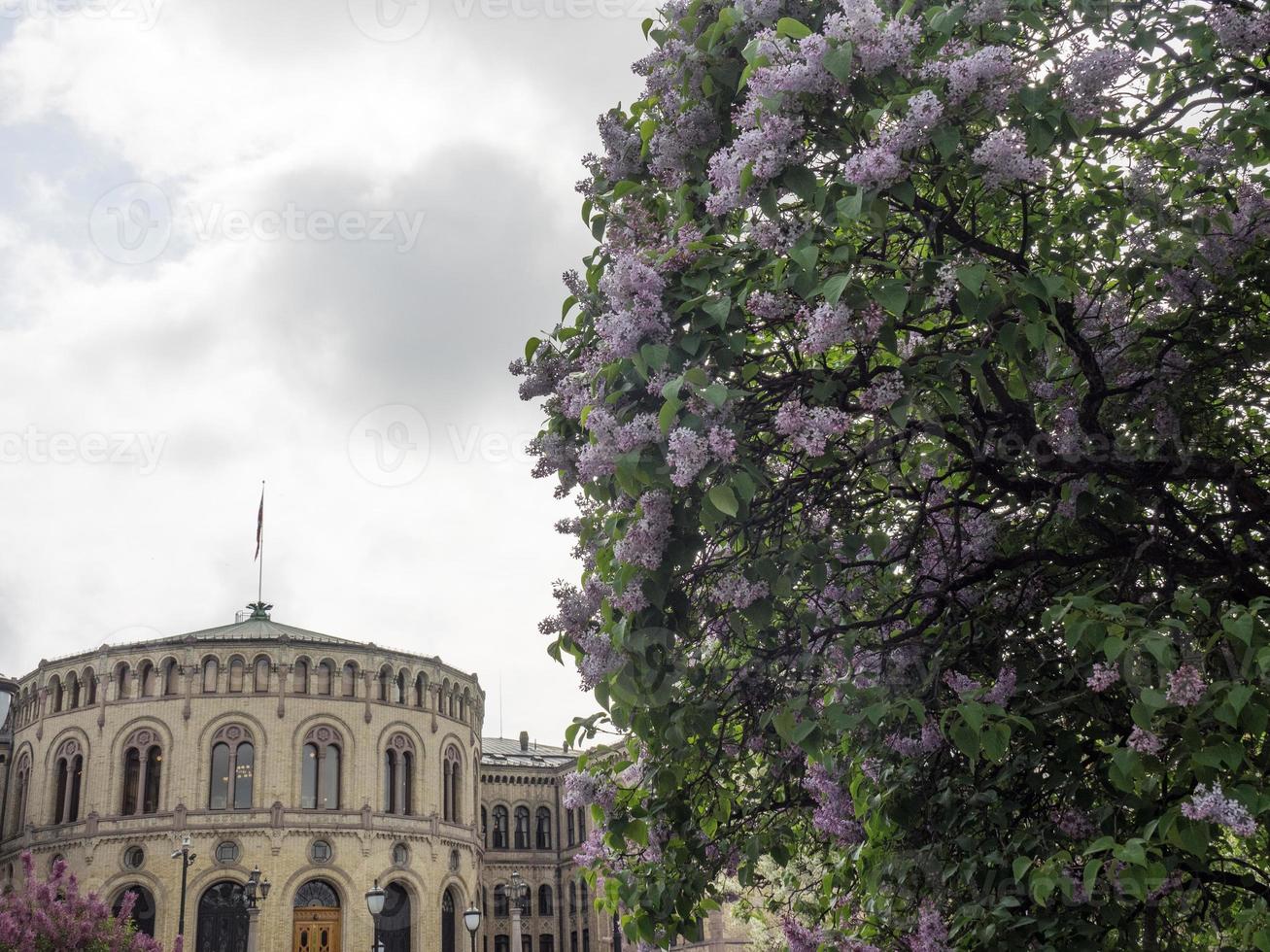 a cidade de oslo na noruega foto