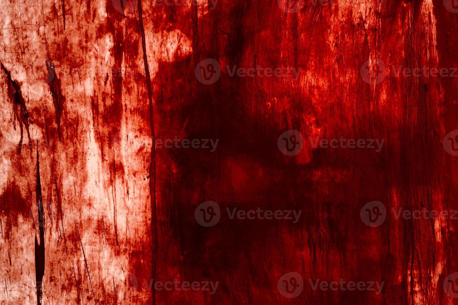 fundo vermelho, parede sangrenta assustadora. parede branca com respingos de sangue para fundo de halloween. foto