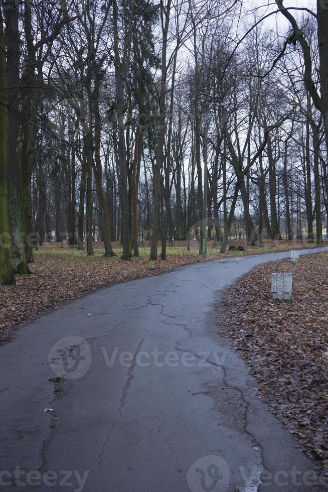 triste estrada de outono no nevoeiro foto