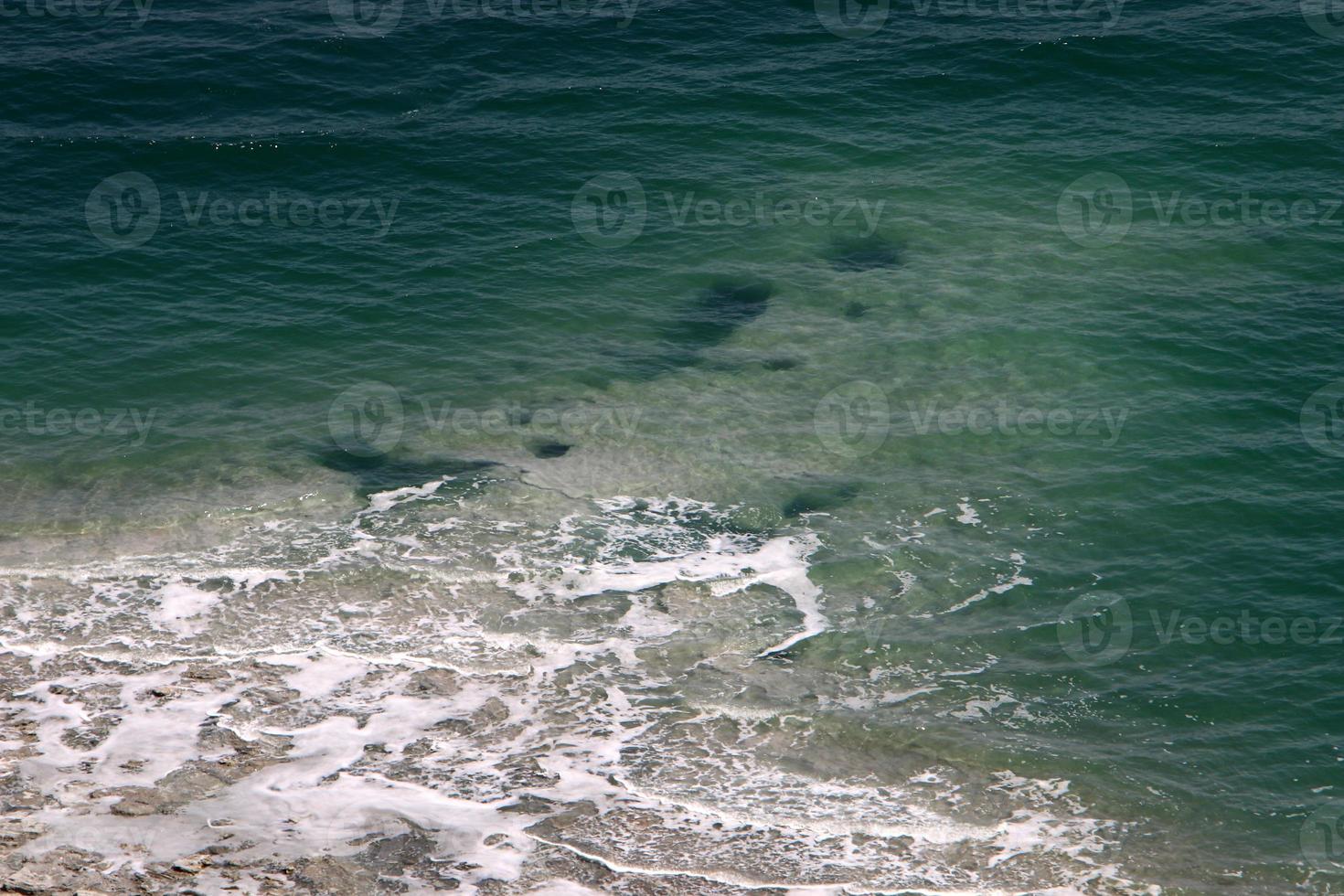 costa do mar morto no sul de israel. foto